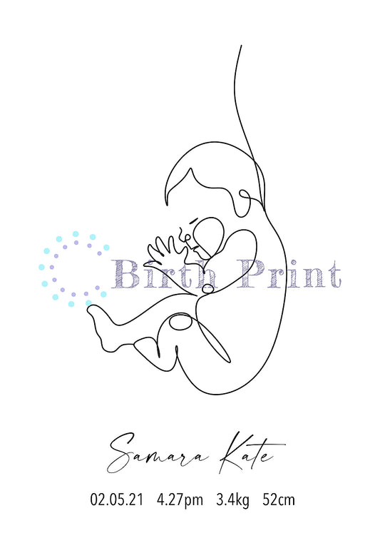 Womb birth poster